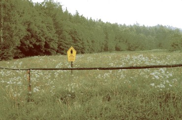 Na&szlig;wiese in Buchenhain im Juni 1997, Foto: H. Riebe